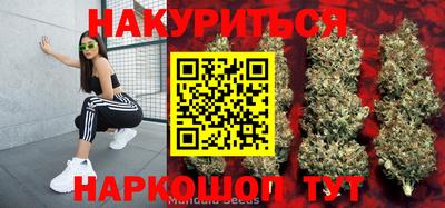 спиды Аша